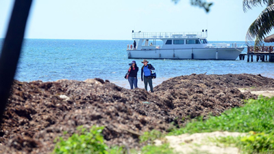 Sargazo llega a playas Mexicanas